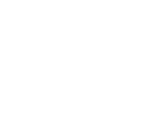 logo PTL EXPRESS